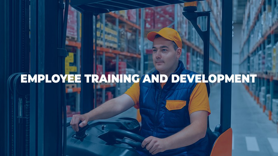 Employee Training and Development at Pakline Group: Investing in the Future