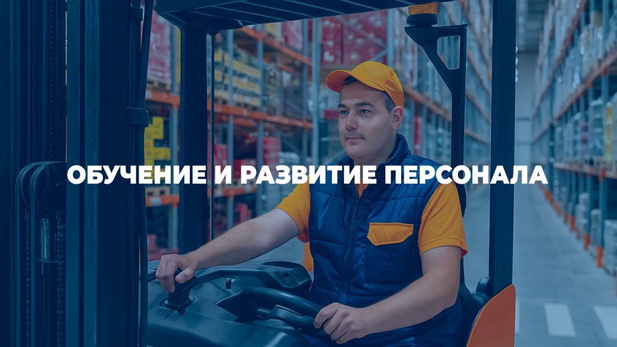 Обучение и развитие персонала в Pakline Group: инвестиции в будущее